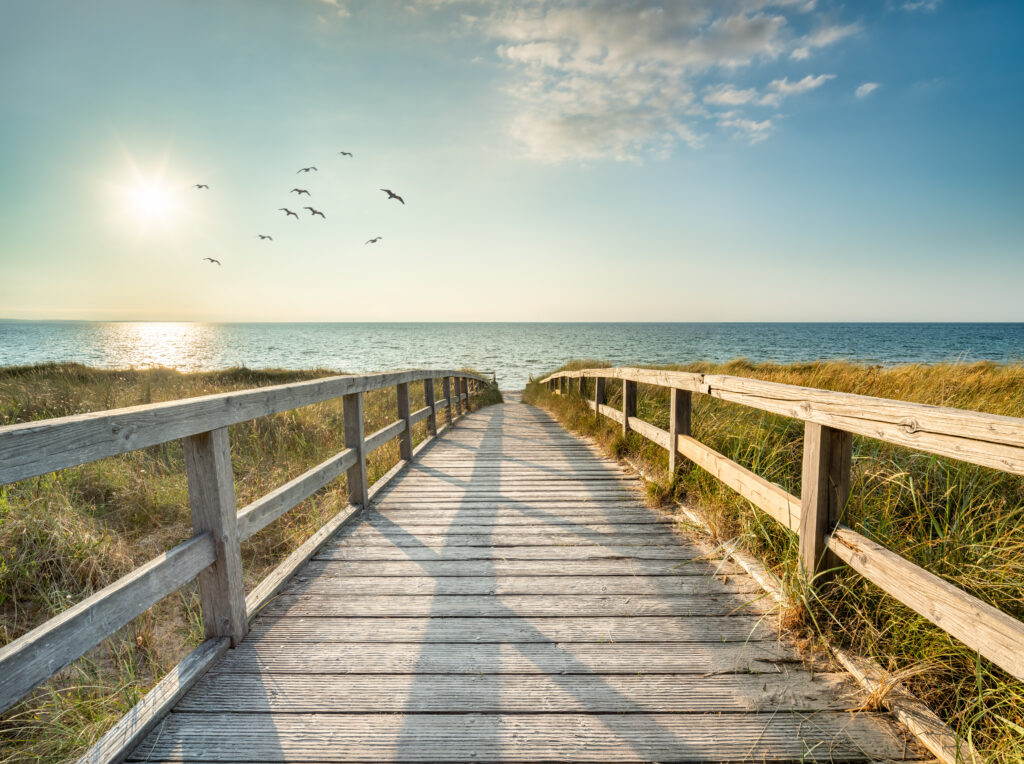 View of a boardwalk looking out at the ocean. Alternatives Inc